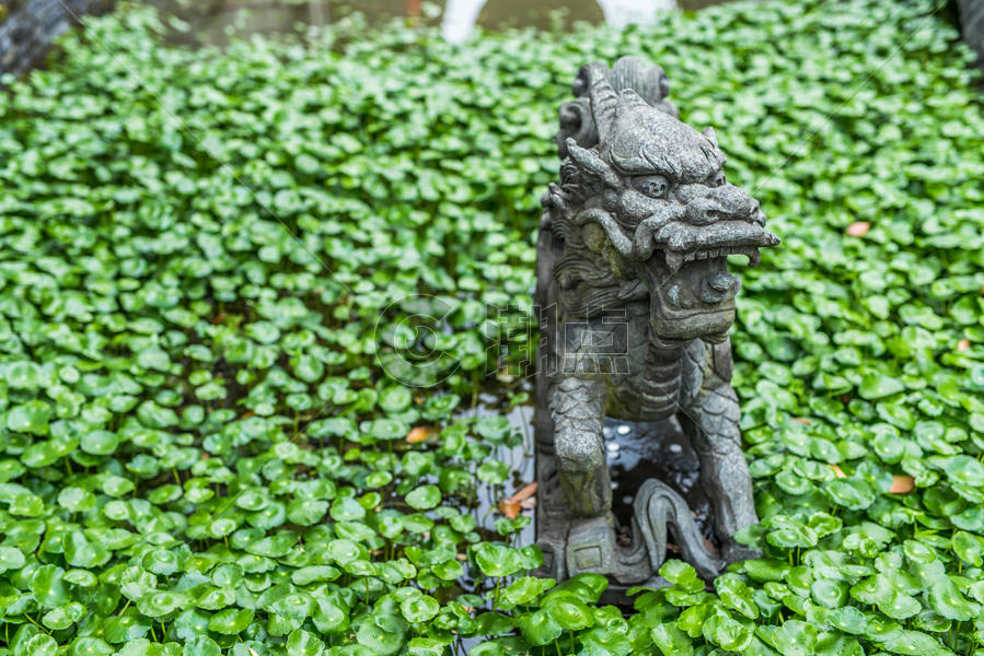 中国传统石雕狮子图片素材免费下载