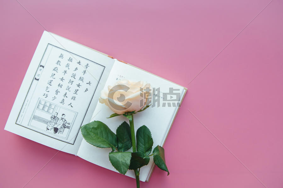 七夕玫瑰图片素材免费下载