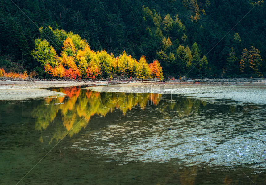 秋色绽放在即将结冰的湖边图片素材免费下载