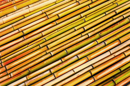 竹子色彩几何韵律图片素材免费下载