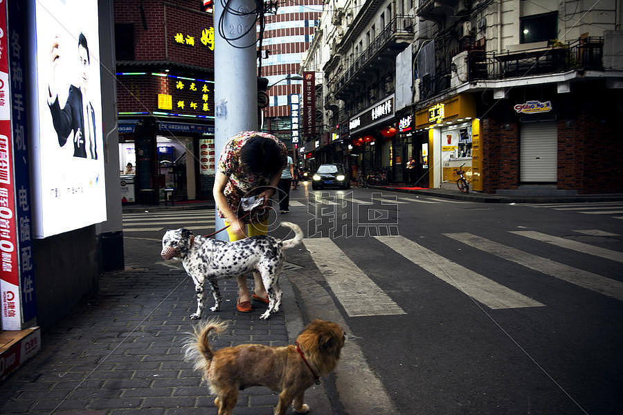 城市街头遛狗的女人图片素材免费下载