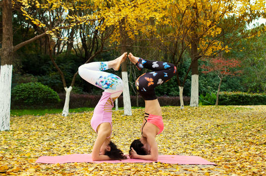户外秋天公园瑜伽图片素材免费下载