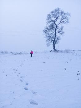 那年冬天雾凇岛踏雪图片素材免费下载