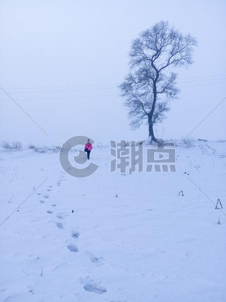 那年冬天雾凇岛踏雪图片素材免费下载
