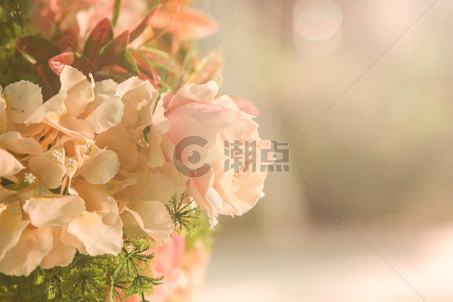 夏日花卉图片素材免费下载