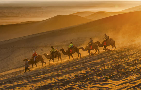 沙漠中行进的骆驼队伍图片素材免费下载