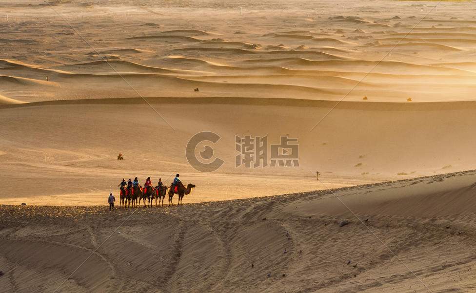荒漠驼铃沙海苍茫图片素材免费下载