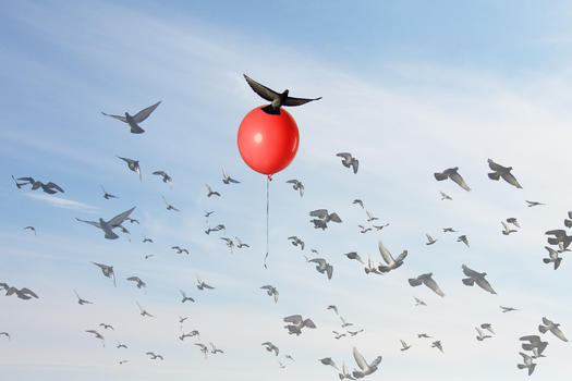 一只鸟在一个红色的气球上升起图片素材免费下载