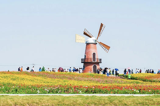 荷兰风车图片素材免费下载