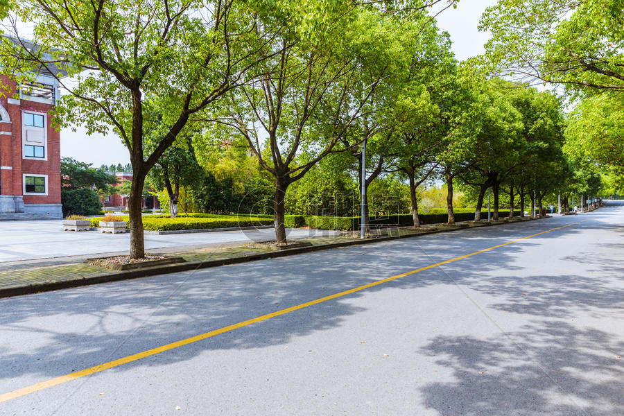 上海华东政法大学校园路图片素材免费下载