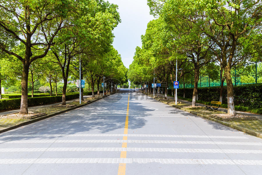 上海华东政法大学校园路图片素材免费下载
