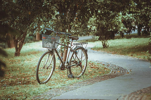 夏天树林中的单车图片素材免费下载