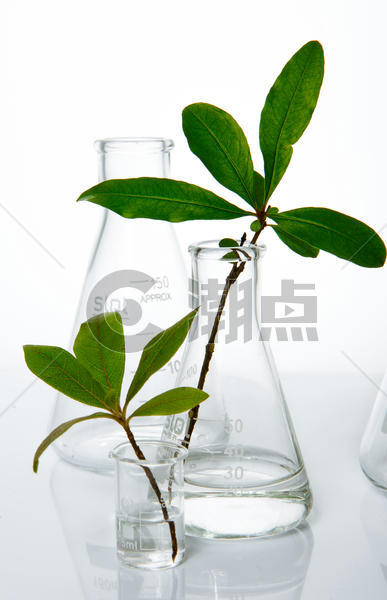 玻璃器皿绿植实验图片素材免费下载