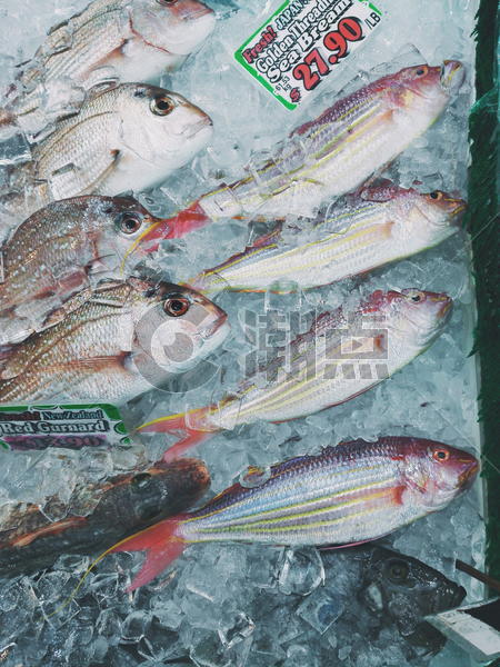 鱼市上冷冻的新鲜鱼图片素材免费下载