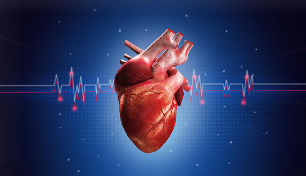 心脏与心电图背景图片素材免费下载