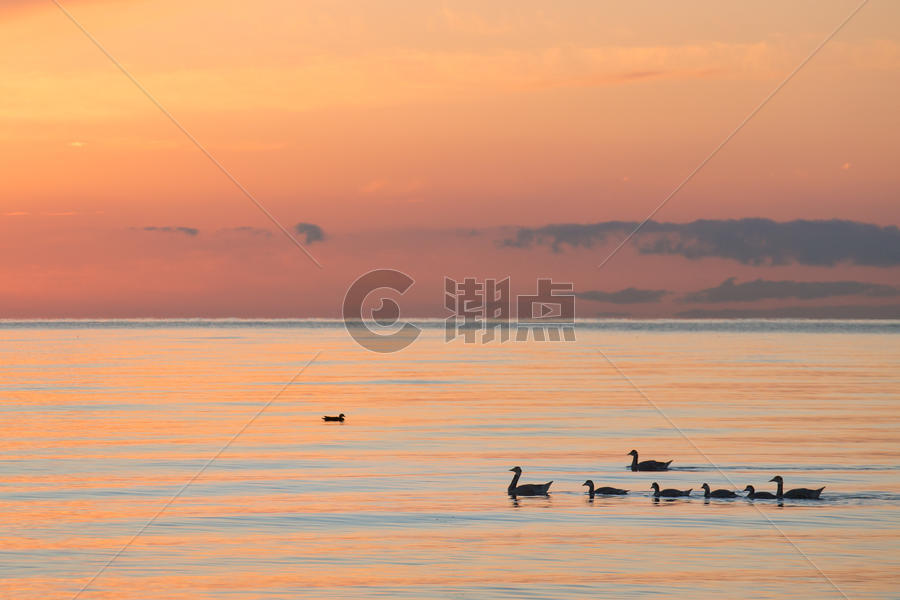 青海湖里的家庭图片素材免费下载