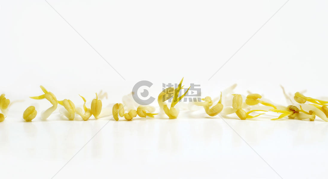 创意蔬菜白色背景上的黄豆芽图片素材免费下载