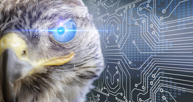 鹰眼瞳孔识别科技图片素材免费下载