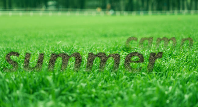 夏令营草坪上的彩色运动鞋图片素材免费下载