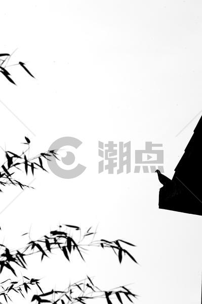 中国风水墨摄影的竹子和鸟图片素材免费下载