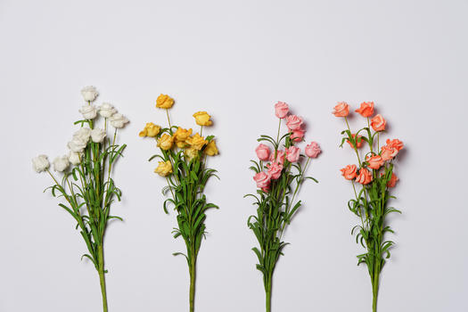花卉组合摆放素材图片素材免费下载