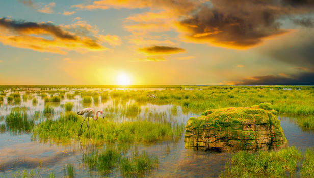 湿地夕阳图片素材免费下载