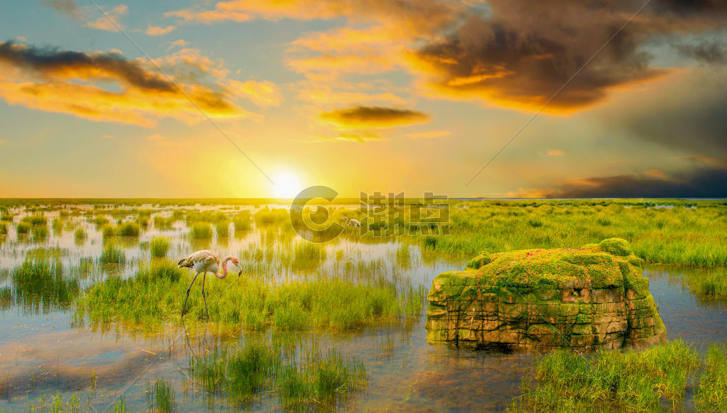 湿地夕阳图片素材免费下载