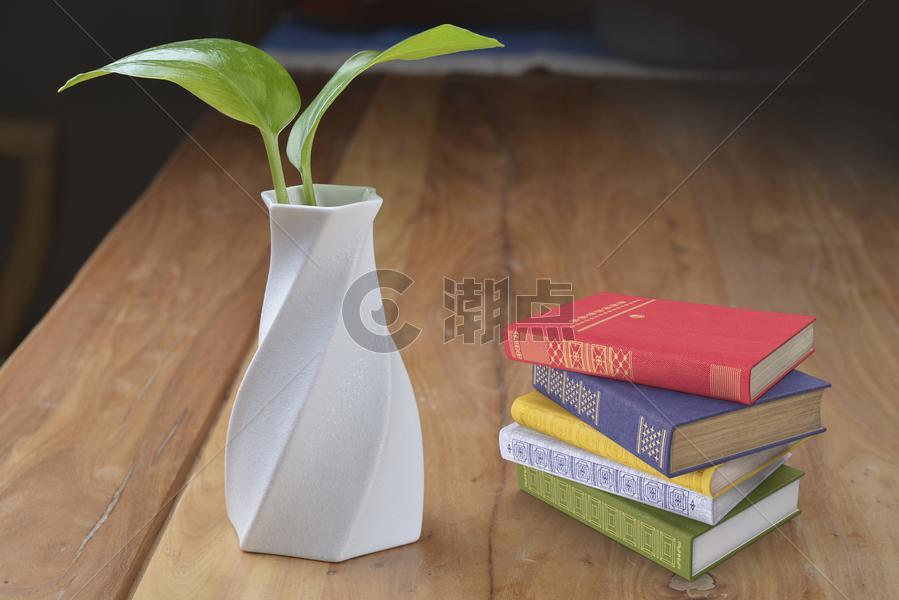 桌子上的植物与书图片素材免费下载