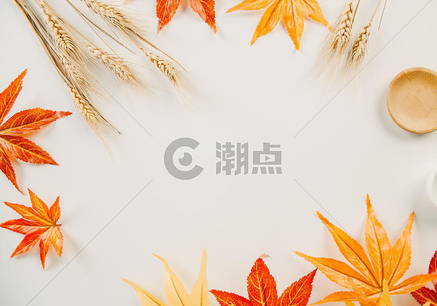 秋天枫叶文艺图片图片素材免费下载