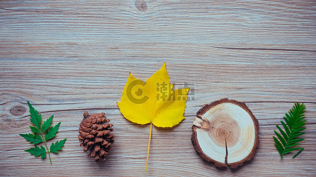 秋天黄色叶子素材图片素材免费下载