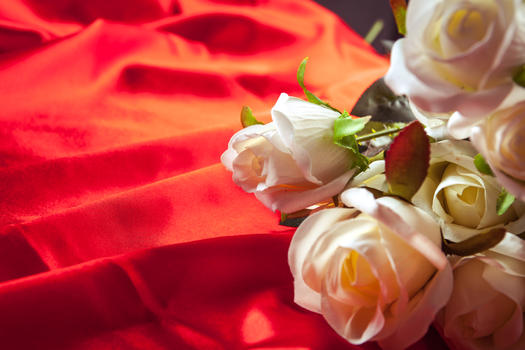 红背景上的白玫瑰图片素材免费下载