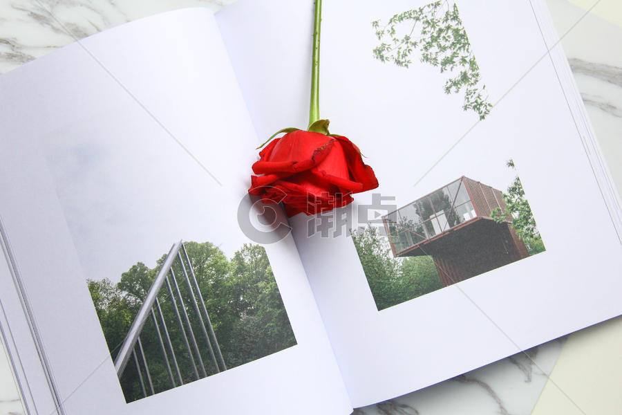 书上的一朵红玫瑰 七夕情人节素材图片素材免费下载