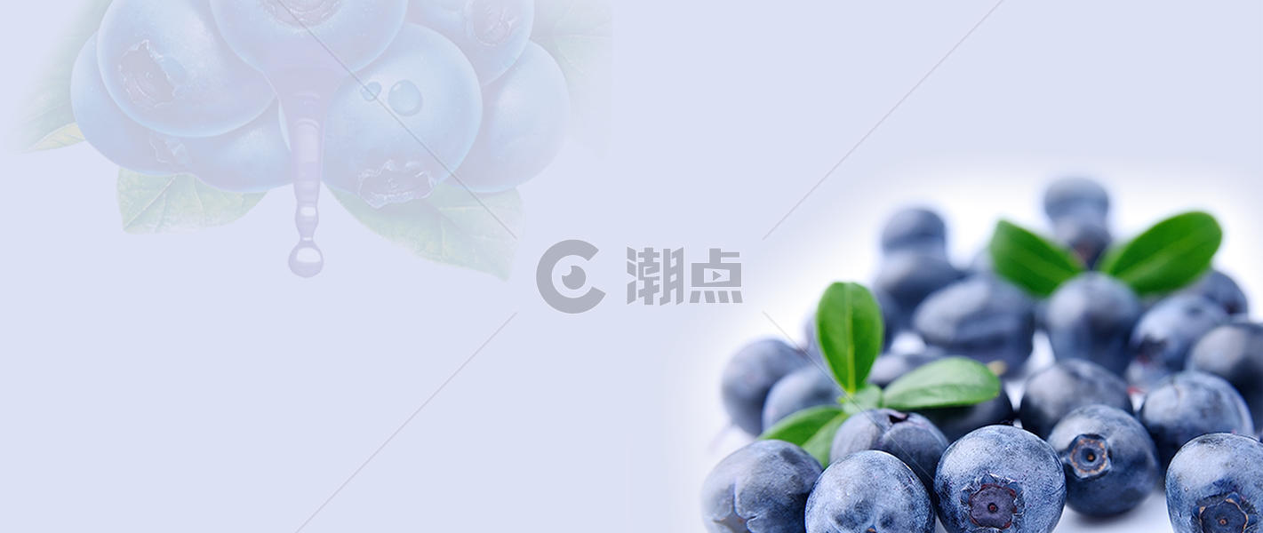 蓝莓水果banner图片素材免费下载