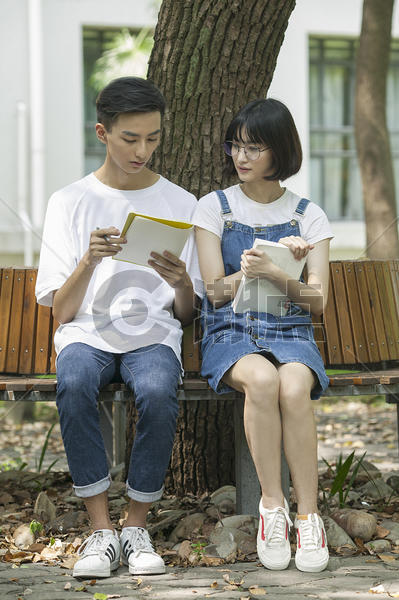 学校绿荫学生们一起认真学习知识图片素材免费下载