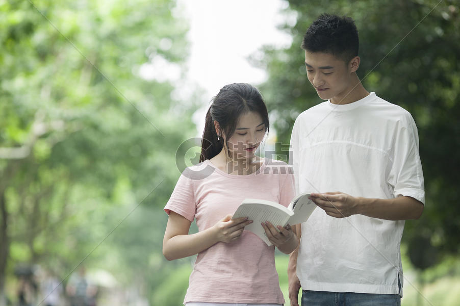 学校林荫路上同学们一起看书学习图片素材免费下载