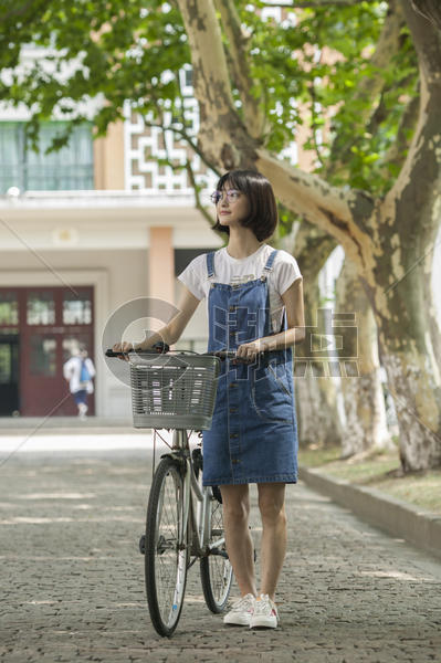 学校教室前的林荫小道上女同学推自行车图片素材免费下载