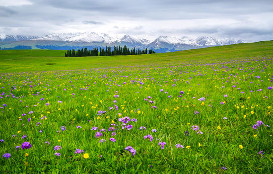 新疆喀拉峻草原图片素材免费下载