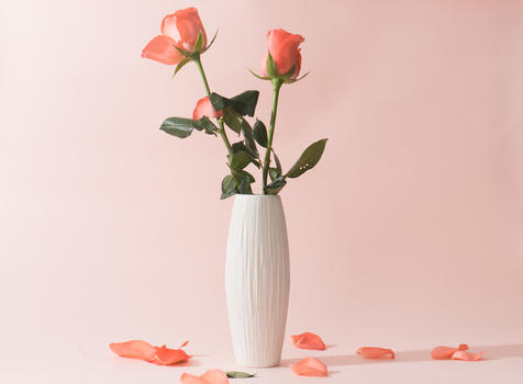 花瓶中的玫瑰图片素材免费下载