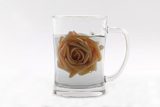 一朵鲜花玫瑰掉入杯中图片素材免费下载