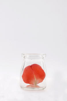 空杯子里一片玫瑰花瓣图片素材免费下载