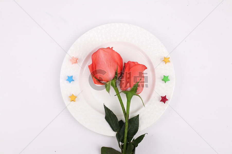 餐盘里玫瑰花图片素材免费下载