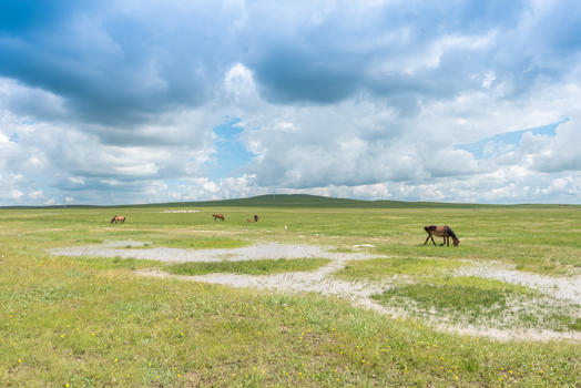 内蒙古草原图片素材免费下载