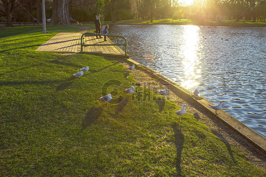 阳光午后海格力公园图片素材免费下载