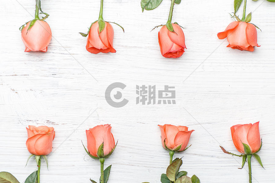 温馨浪漫玫瑰花图片素材免费下载
