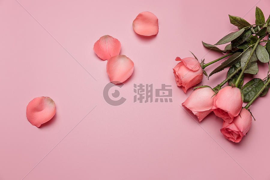 漂亮的情人节七夕玫瑰图片素材免费下载
