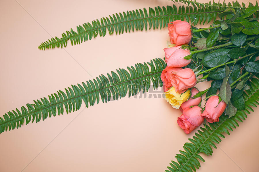 浪漫的花朵图片素材免费下载