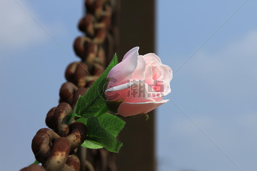 铁锁与鲜花：永恒的爱图片素材免费下载