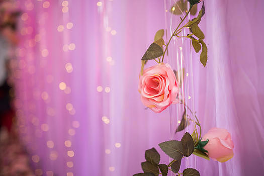 婚礼上的灯光鲜花图片素材免费下载