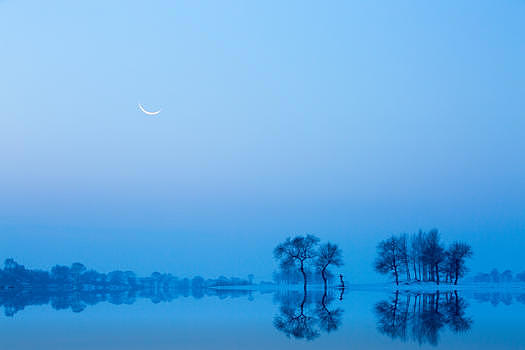 一轮明月的静夜图片素材免费下载