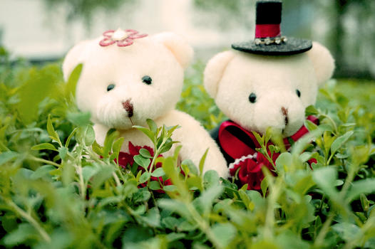 情侣小熊娃娃为爱牵手一起图片素材免费下载